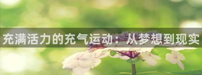 意昂体育4招商电话是多少啊：充满活力的充气运动：从梦想到现实