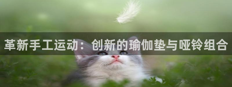 意昂体育4平台注册要钱吗：革新手工运动：创新的瑜伽垫与哑铃组