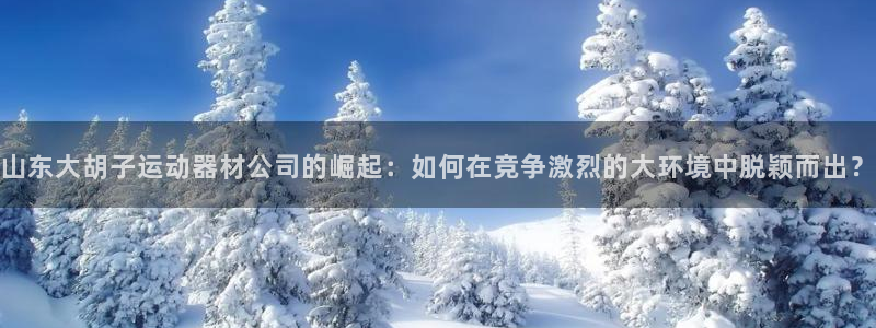 意昂体育4娱乐：山东大胡子运动器材公司的崛起：如何在