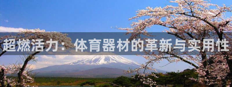 意昂4五金厂：超燃活力：体育器材的革新与实用性