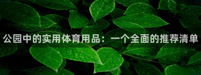 意昂体育4招商电话号码：公园中的实用体育用品：一个全