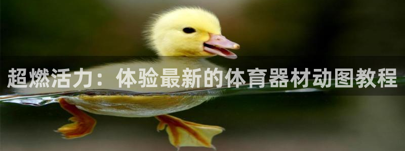 意昂体育4平台是正规平台吗：超燃活力：体验最新的体育