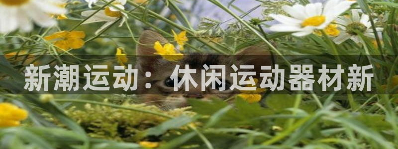 意昂4新能源：新潮运动：休闲运动器材新