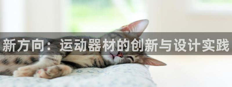 意昂4集团官网网址：新方向：运动器材的创新与设计实践