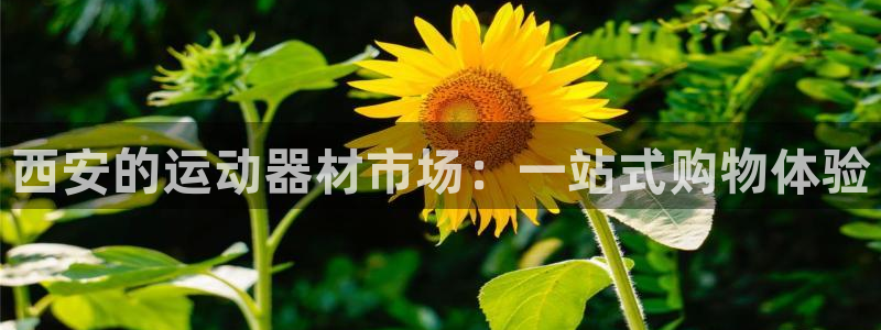 意昂体育4平台注册要钱吗是真的吗：西安的运动器材市场