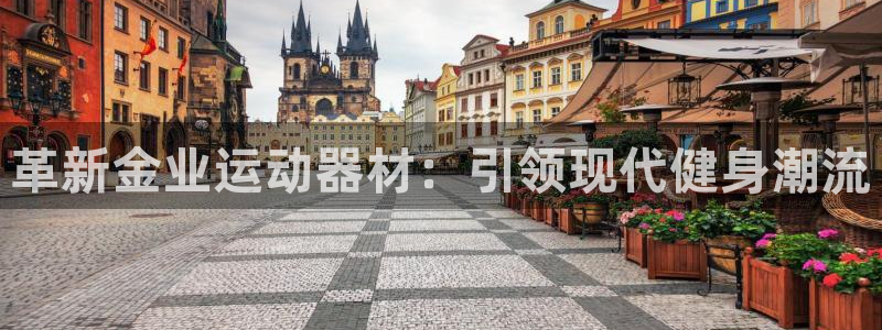 意昂平台体育：革新金业运动器材：引领现代健身潮流