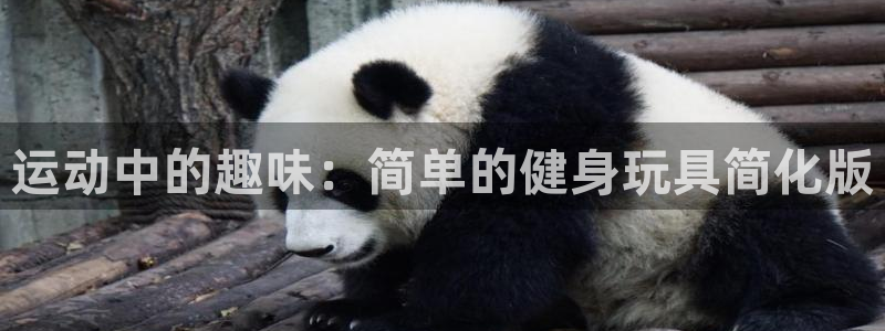 意昂体育4招商电话号码是多少号：运动中的趣味：简单的