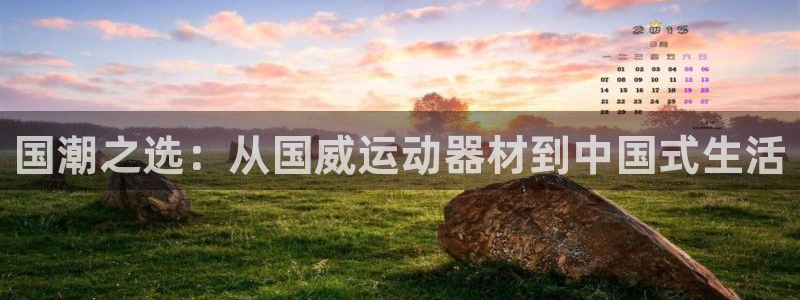 意昂4集团logo：国潮之选：从国威运动器材到中国式