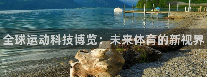 德国意昂4集团：全球运动科技博览：未来体育的新视界