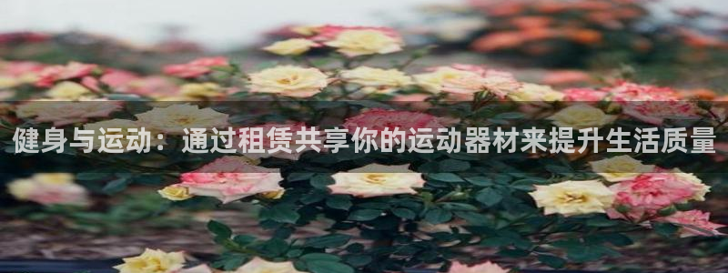 意昂4娱乐首页网站大全：健身与运动：通过租赁共享你的