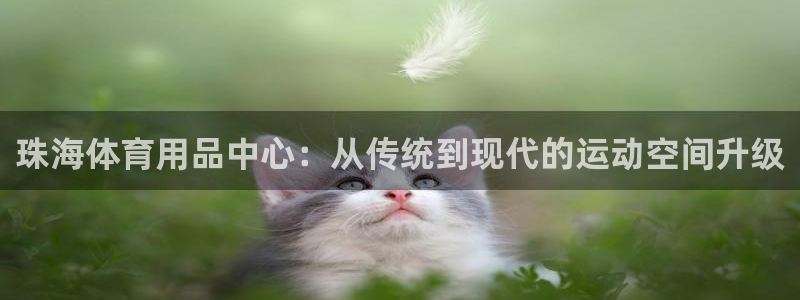 意昂4新能源：珠海体育用品中心：从传统到现代的运动空