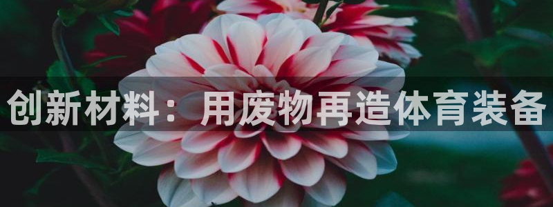 意昂4集团官网首页：创新材料：用废物再造体育装备