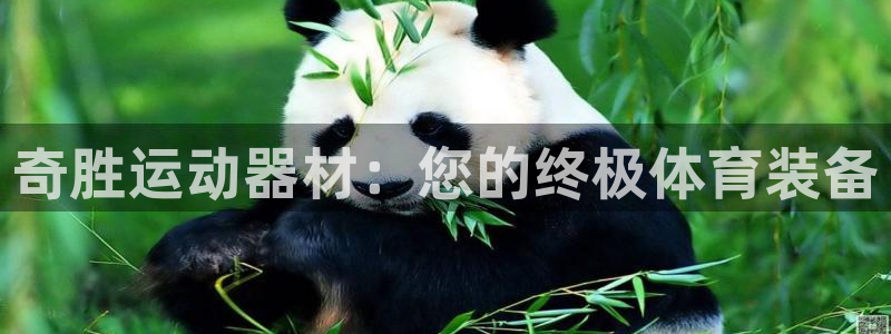 意昂4神州：奇胜运动器材：您的终极体育装备