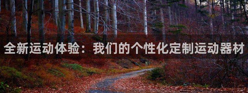 德国意昂4集团：全新运动体验：我们的个性化定制运动器