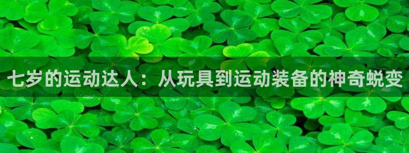 意昂4娱乐下载：七岁的运动达人：从玩具到运动装备的神