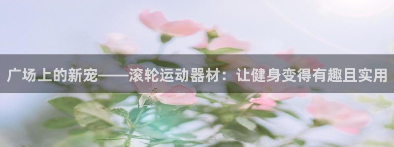 意昂体育4是干嘛的公司：广场上的新宠——滚轮运动器材