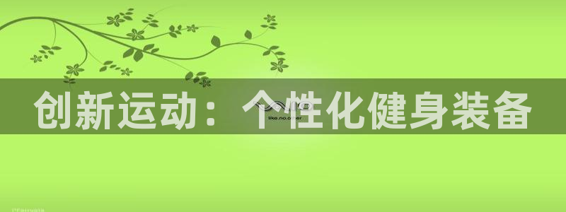 海南意昂体育4：创新运动：个性化健身装备