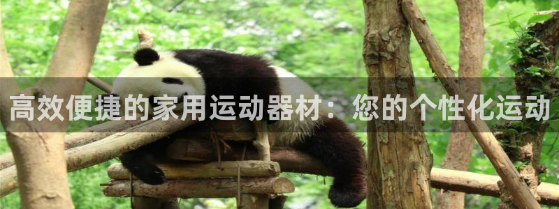 意昂4娱乐首页官网下载：高效便捷的家用运动器材：您的个性化运