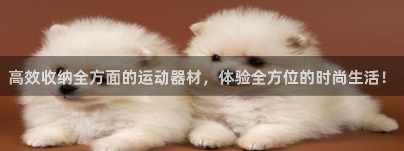 意昂体育4平台注册流程视频：高效收纳全方面的运动器材，体验全