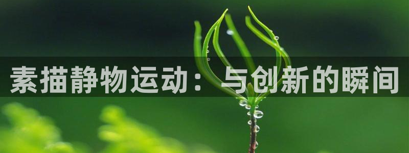 意昂体育4平台假的吗是真的吗：素描静物运动：与创新的瞬间