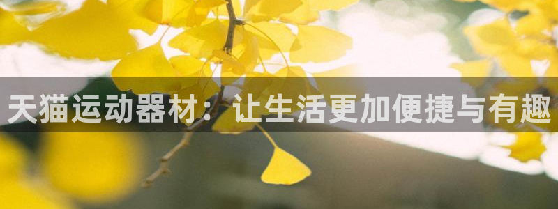 意昂体育4平台注册流程视频：天猫运动器材：让生活更加