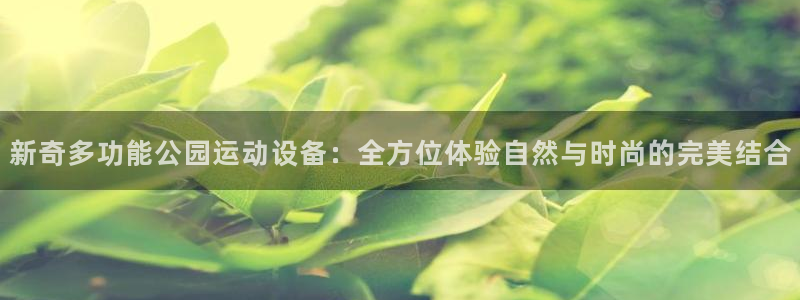 意昂4娱乐平台：新奇多功能公园运动设备：全方位体验自