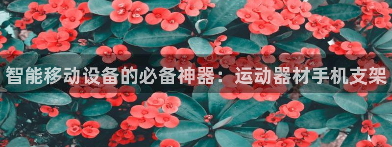意昂4娱乐平台：智能移动设备的必备神器：运动器材手机