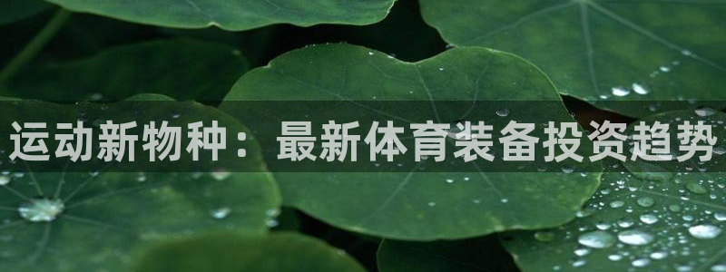 意昂4娱乐
