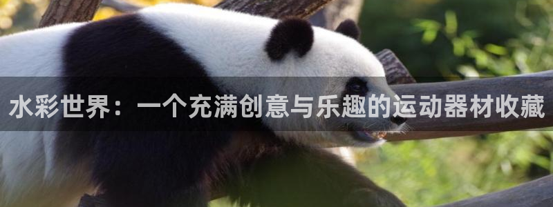 意昂体育4开户