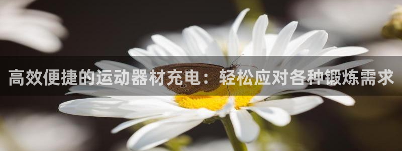 意昂体育4招商电话地址查询：高效便捷的运动器材充电：轻松应对