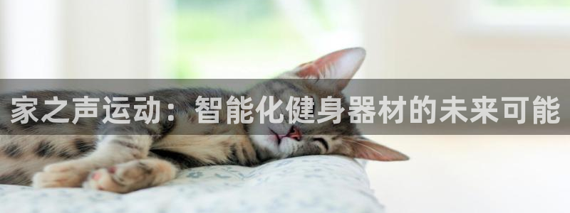 意昂4官网：家之声运动：智能化健身器材的未来可能