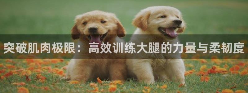 意昂平台体育：突破肌肉极限：高效训练大腿的力量与柔韧度