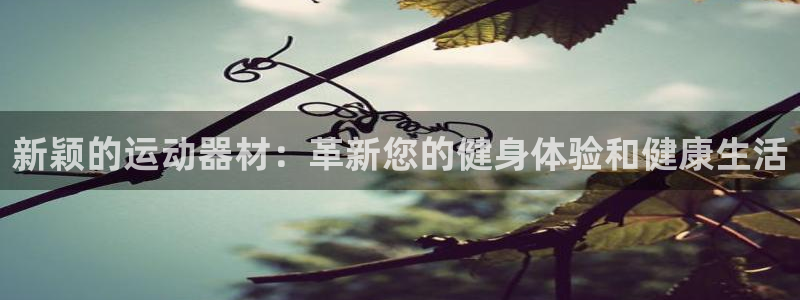 意昂4娱乐首页网站大全
