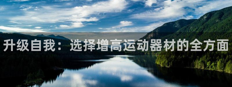 意昂4集团简介