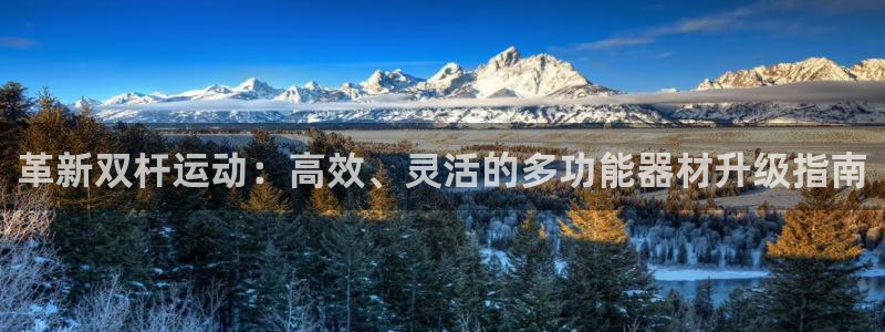 意昂体育4招商电话地址是多少：革新双杆运动：高效、灵活的多功