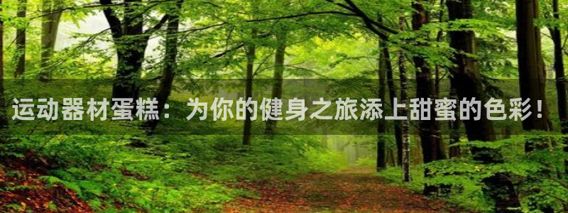 意昂体育4平台APP：运动器材蛋糕：为你的健身之旅添上甜蜜的